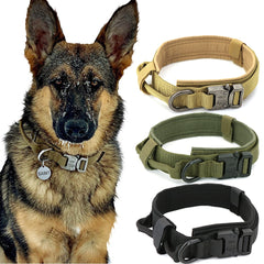 Heavy Duty Dog Collar