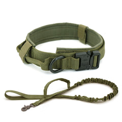 Heavy Duty Dog Collar